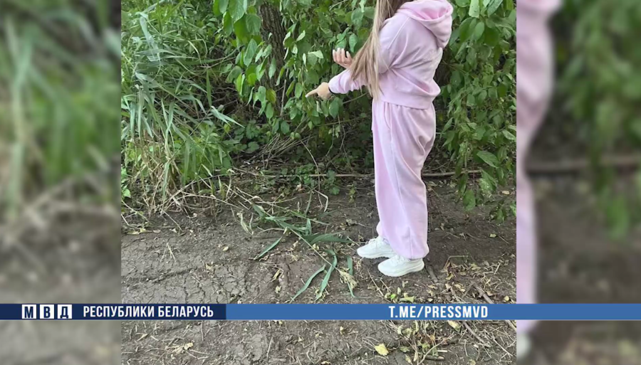 Жительница Бобруйска работала на наркомаркет. Ей грозит до 15 лет лишения свободы