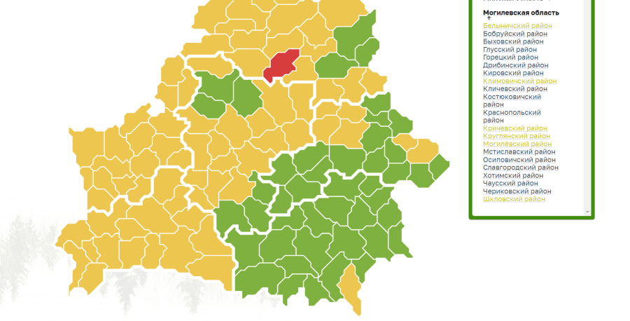 Ограничения на посещение лесов сняты в большинстве районов Могилевщины. В тот числе и в Бобруйском