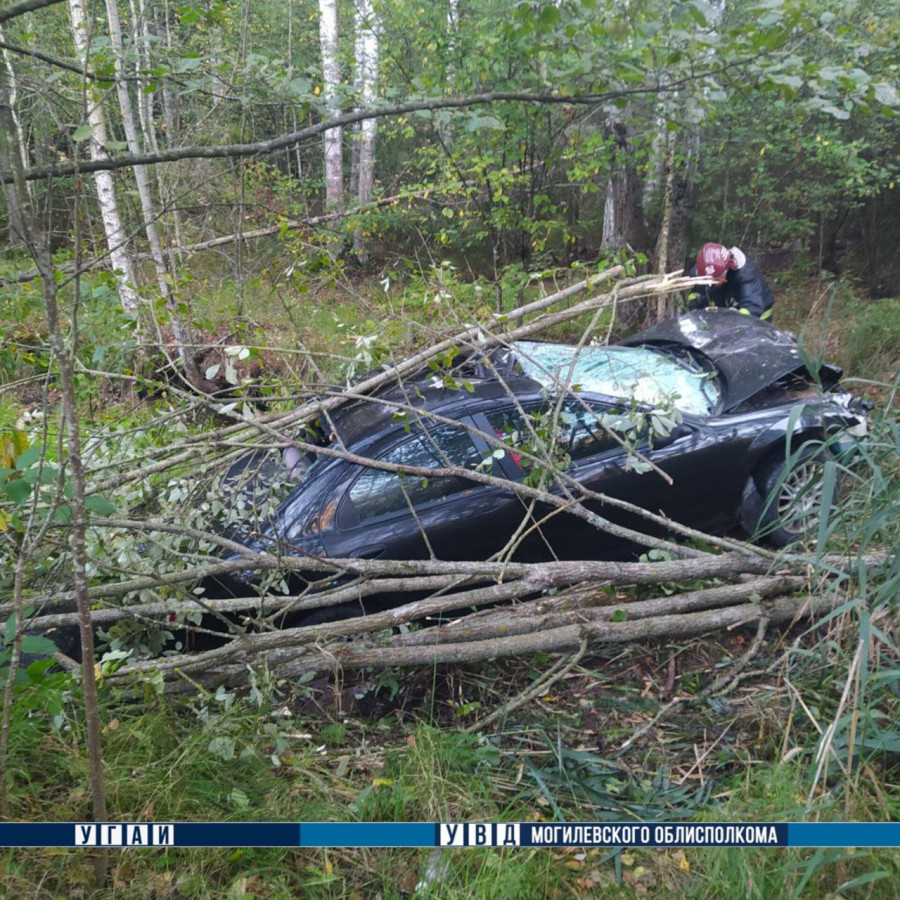 25.09.2025 г. Могилевский район. Фото: УВД Могоблисполкома