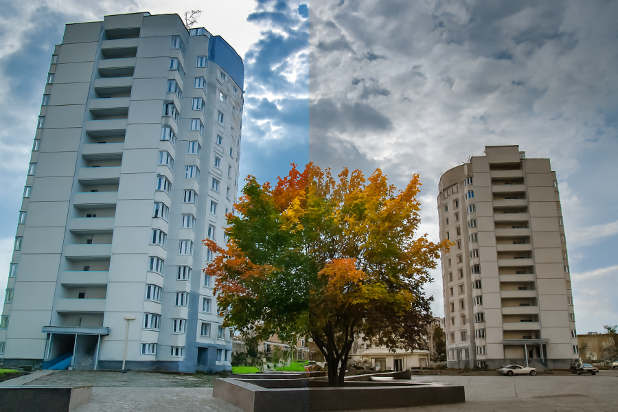 Обычное фото глазами большинства людей (слева) и глазами человека с дальтонизмом (справа).