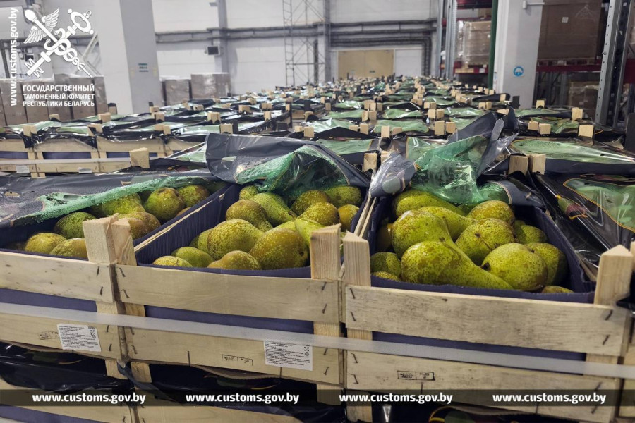 Почти 120 тонн контрабандных груш изъяли белорусские таможенники на границе с Россией