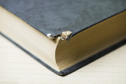 Без срока давности: следователи раскрыли убийство сторожа в Бобруйске, совершенное почти полвека назад