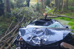 Смертельное ДТП в Могилевском районе: автомобиль столкнулся с лосем