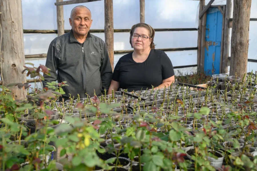 «В этом году заработала на творчестве гораздо больше, чем в прошлом». Каким был 2025-й год для героев рубрики «Свое дело»