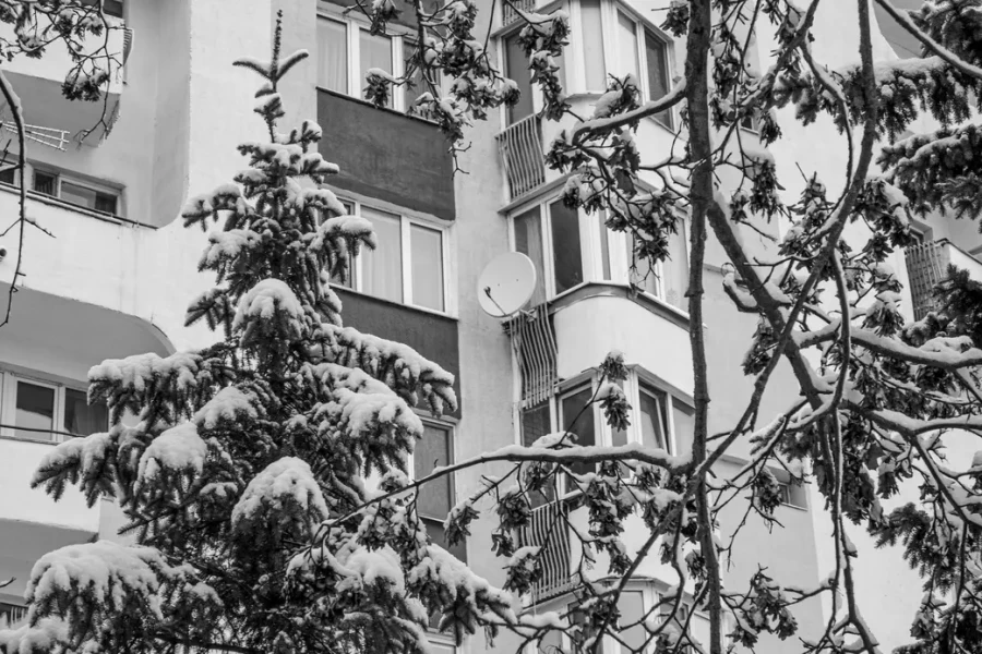 24.11.2025. Бобруйск. Фото: Александр ЧУГУЕВ.