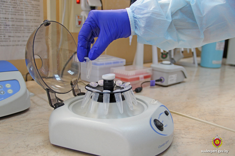 Как в Беларуси узнать свой генотип: спросили у эксперта