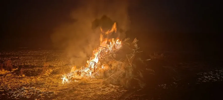 Фото Бобруйской межрайонной инспекции охраны животного и растительного мира