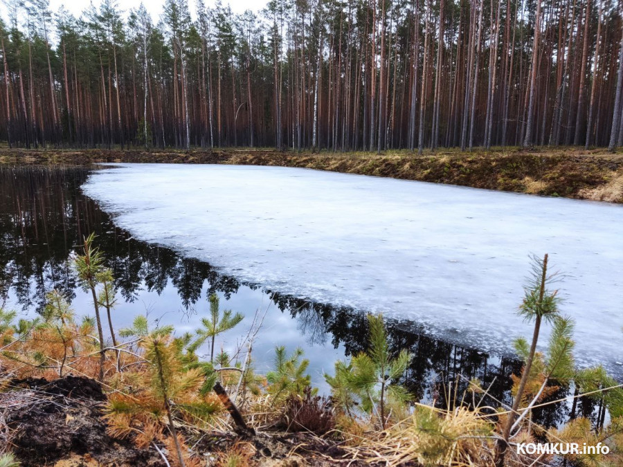Какие реки Беларуси полностью очистились ото льда, рассказали в Белгидромете