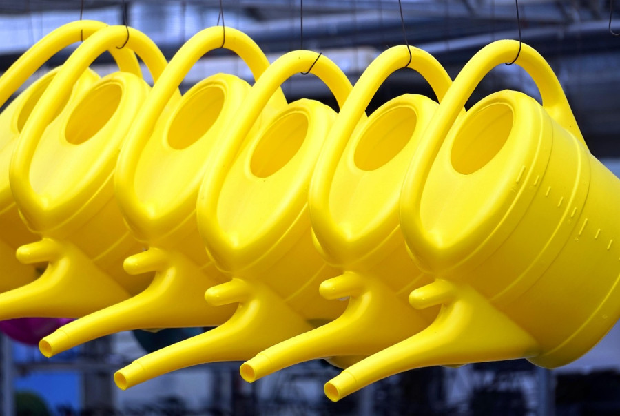 Фото Pixabay.com