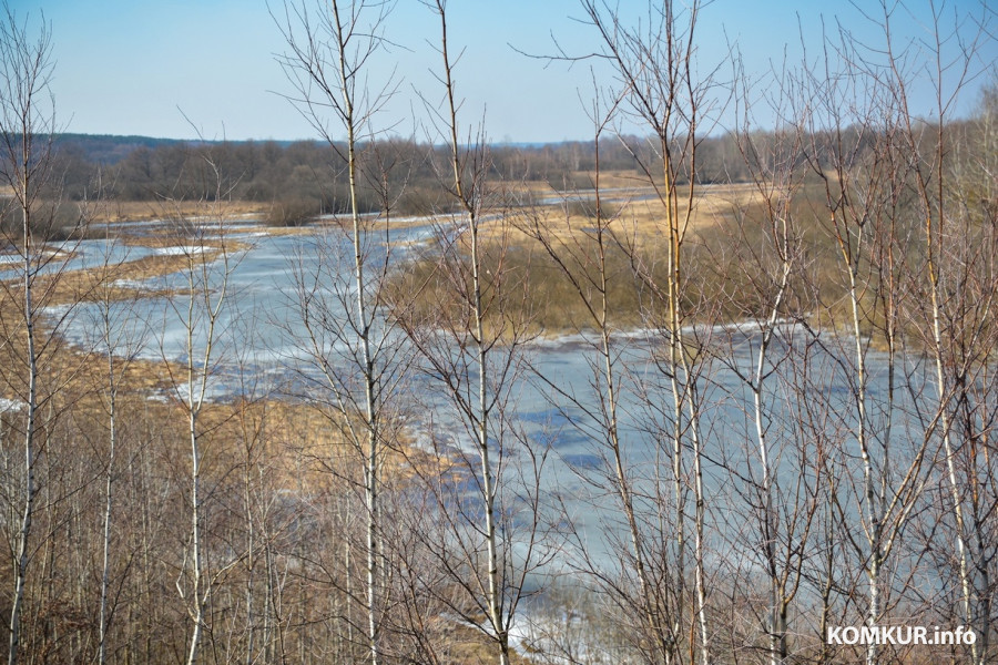 Когда в Беларуси полностью растает снег: прогноз Белгидромета