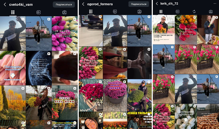 Тюльпановая афера: следователи просят откликнуться пострадавших от действий владельцев «Цветовски» и «Огород фермера»