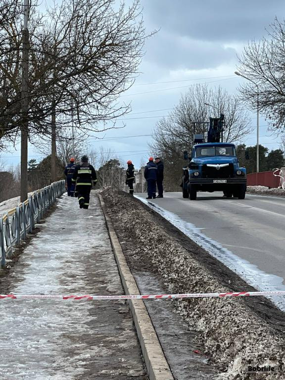 Фото: bobrlife.by