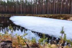 Какие реки Беларуси полностью очистились ото льда, рассказали в Белгидромете