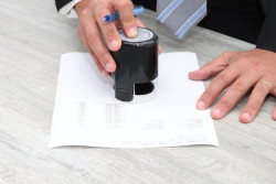 В Могилеве директор организации фиктивно трудоустраивал выпускников колледжей, чтобы помочь им «откосить» от работы по распределению