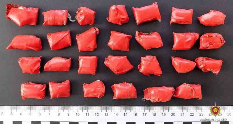 Фото: Управление ГКСЭ по Могилевской области