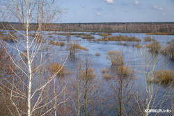 Ждать ли «большой воды» в Беларуси нынешней весной: рассказали в Белгидромете