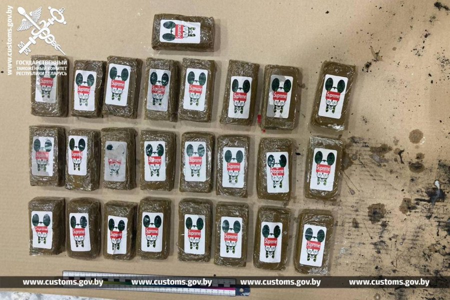 260 кг гашиша обнаружили белорусские таможенники в грузовом автомобиле польского перевозчика