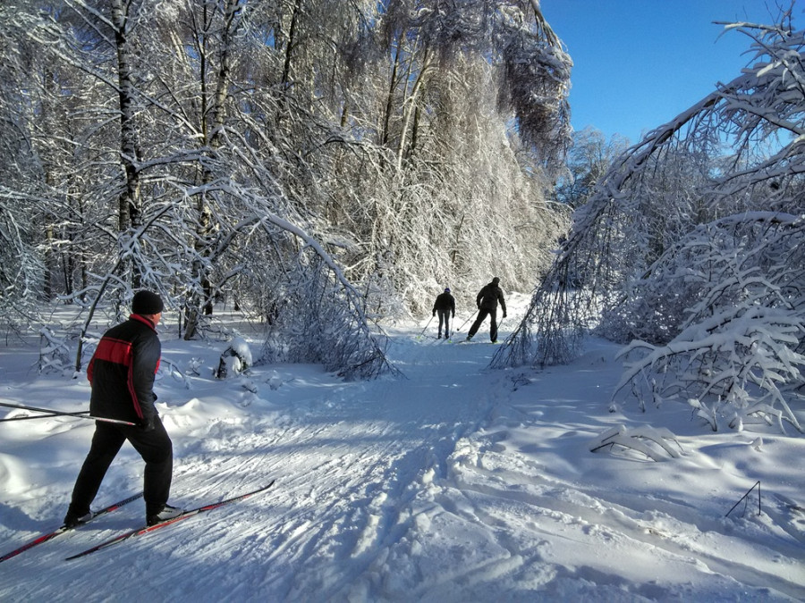 Фото: Александр Чугуев, из архива редакции