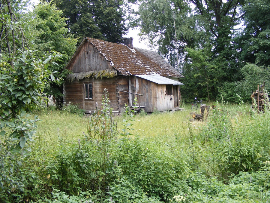 2 тысячи пустующих домов купили за одну базовую белорусы в 2025 году