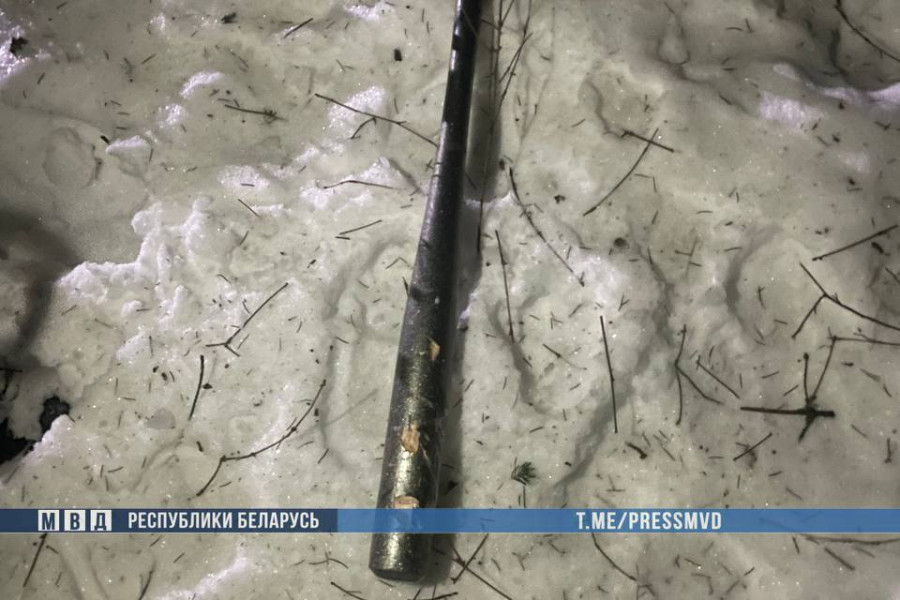 Фото: МВД РБ