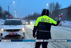 На дорогах Бобруйска в выходные будут работать дополнительные наряды ДПС Гасавтоинспекции
