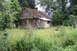 2 тысячи пустующих домов купили за одну базовую белорусы в 2025 году