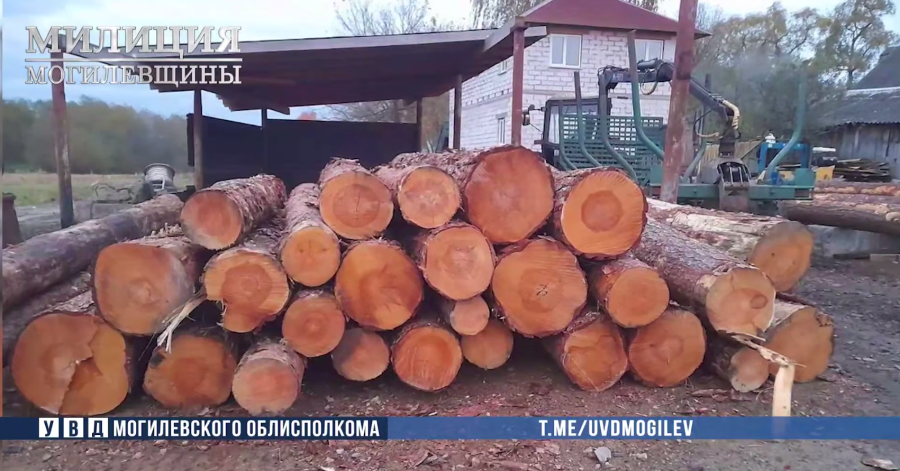 Фото: УВД Могоблисполкома