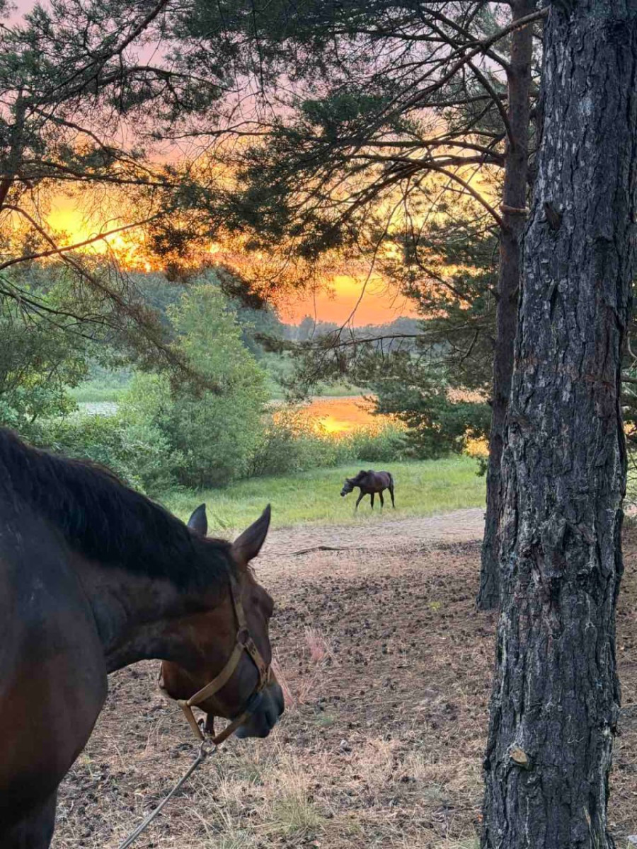  Прогулки на лошади по такой местности – настоящее удовольствие.