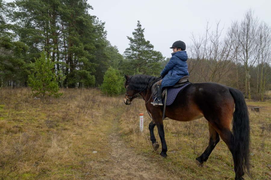 17.12.2025. Титовка. ООО «Есаул». Святослав Алиев.