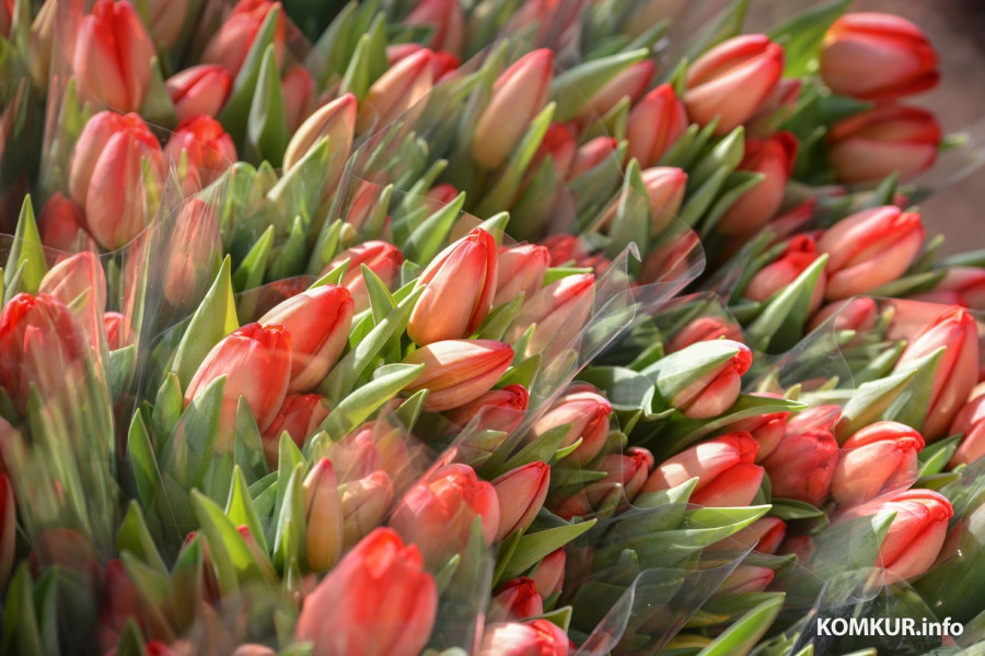 Минтруда разъяснило, на какие подарки к 8 марта не начисляются взносы в ФСЗН