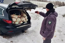 Белоруса задержали в Брянской области с крупным грузом семян овощей