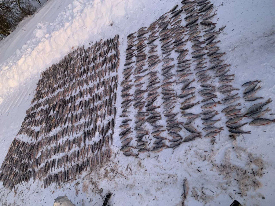 Жители Кличевского района нарыбачили на 43 тысячи рублей. Им грозит уголовная ответственность