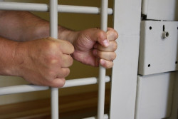 Делал закладки в Бобруйске и Рогачеве: задержан иностранец с крупной партией психотропов