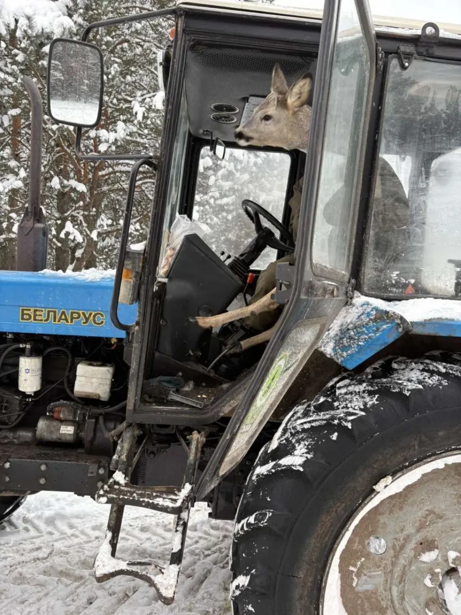 Фото: kirovsk.by.