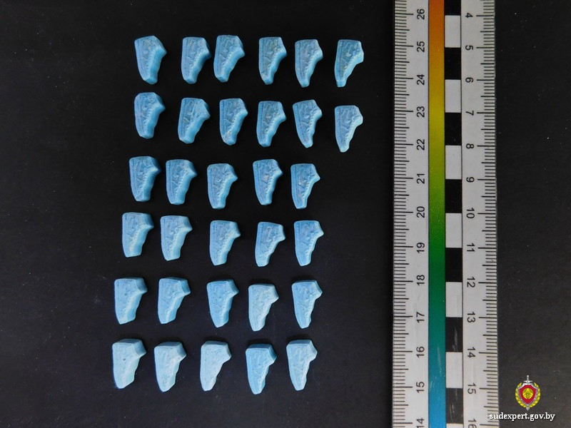 «Экстази», альфа-pvp, 4-СМС: очередной наркокурьер предстанет перед судом в Бобруйске