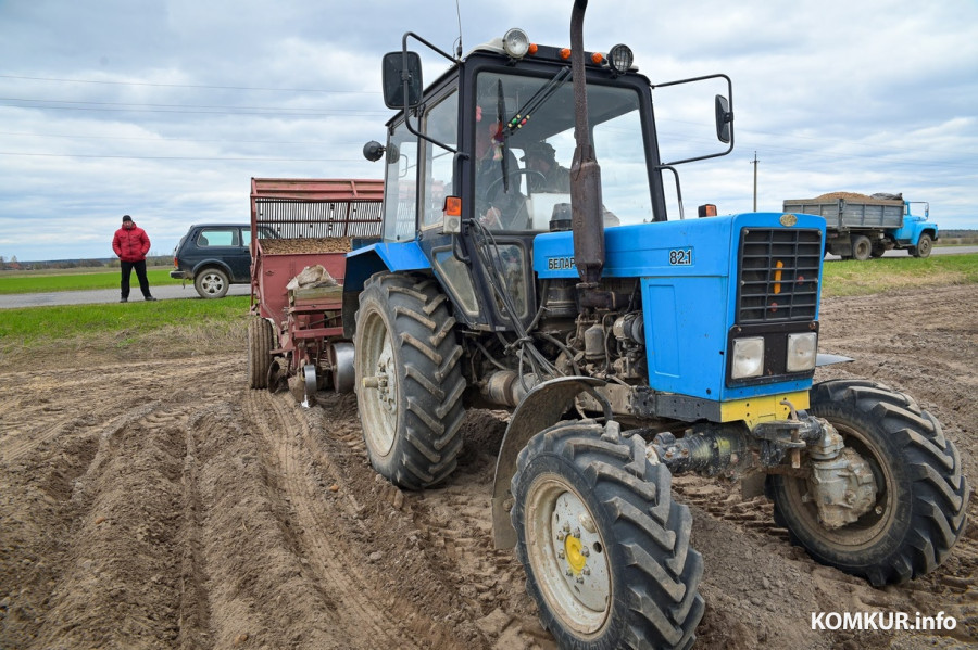В Беларуси определен порядок использования средств на финансирование госпрограммы «АПК будущего»