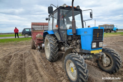 В Беларуси определен порядок использования средств на финансирование госпрограммы «АПК будущего»