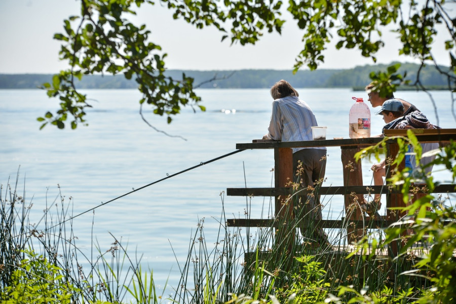 Вопросы по новым правилам рыболовства можно будет задать представителям Госинспекции по прямой линии 16 января