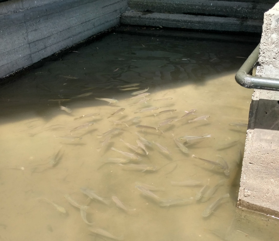 28.04.2017 г. Израиль, Ярденит