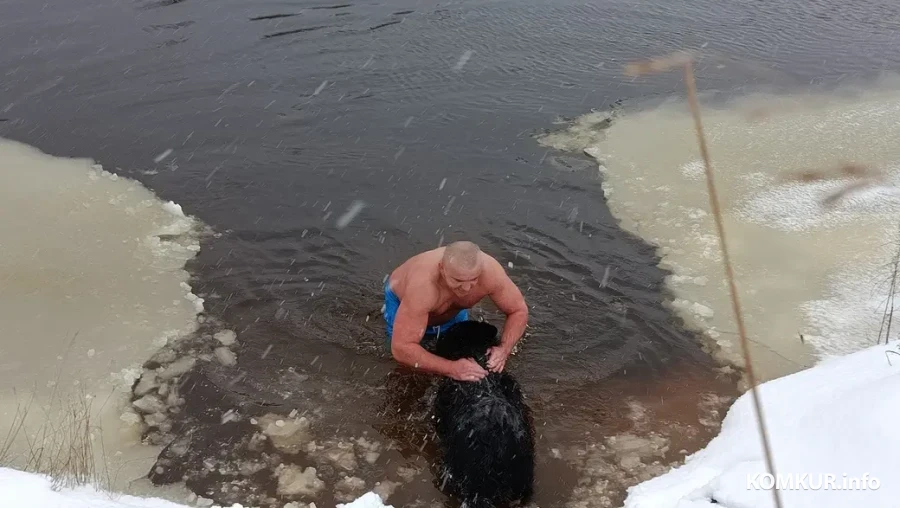 2.01.2026 г. Юрий Алёхна и его собака Багира во время зимнего плавания на реке Птичь возле Глуска.