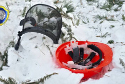 В Костюковичском районе при валке леса погиб работник: его придавило упавшим деревом 