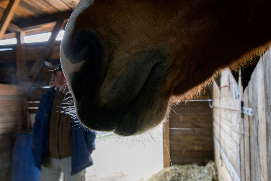 17.12.2025. Титовка. ООО «Есаул». 