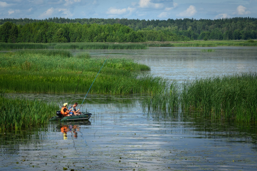 Сколько рыбы сможем выловить в нынешнем году: в Беларуси определены квоты
