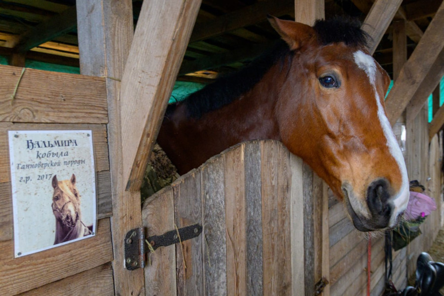 17.12.2025. Титовка. ООО «Есаул». 