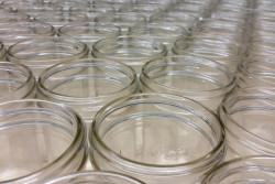 В Беларуси введено лицензирование вывоза отходов стекла