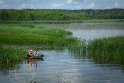 Сколько рыбы сможем выловить в нынешнем году: в Беларуси определены квоты