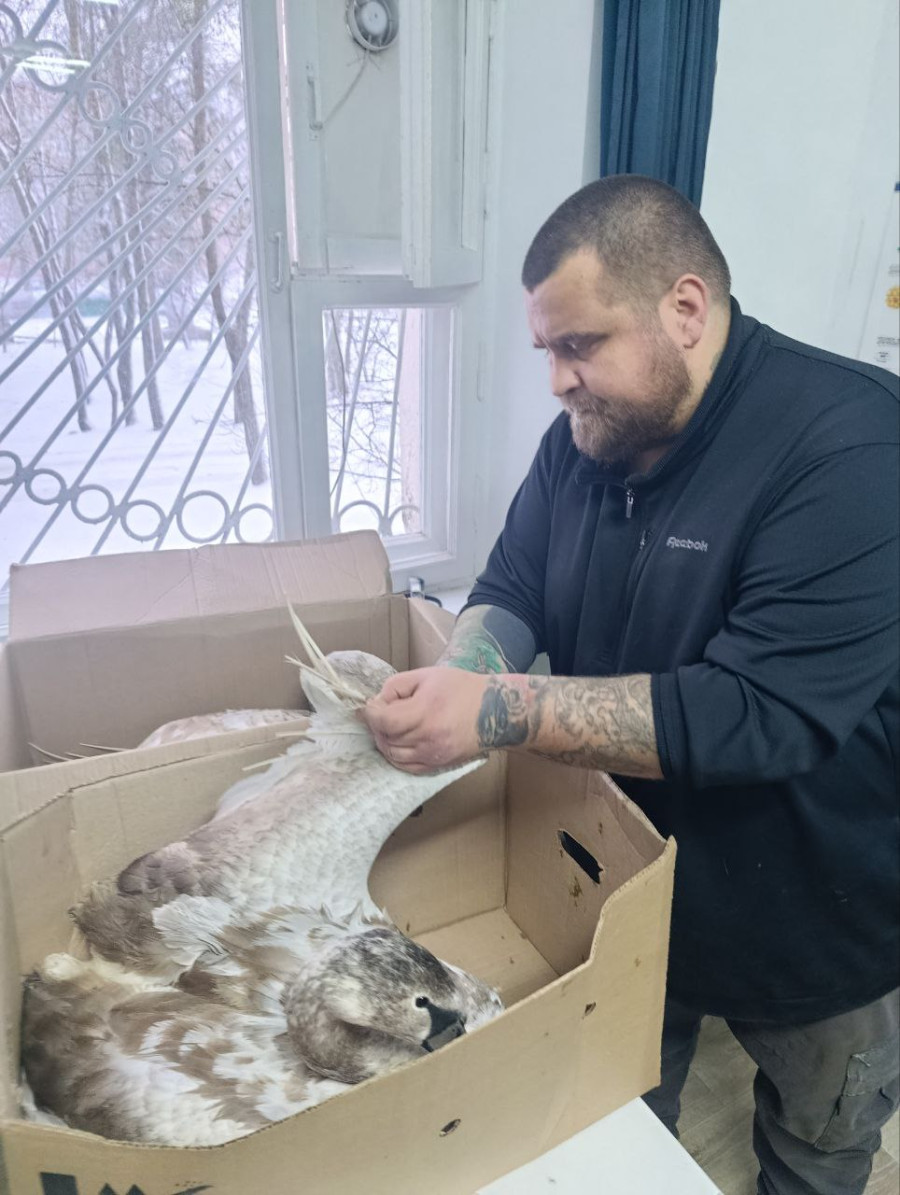 Фото: Бобруйская инспекция природных ресурсов и охраны окружающей среды