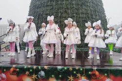 «Всегда ставим живую елку, чтобы праздник был с запахом леса». О чем мечтают взрослые и дети, встречая Новый год   