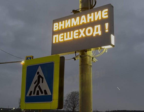 В Чаусах тестируют систему распознавания людей на зебре