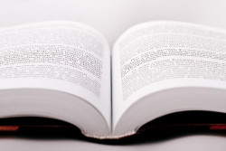 В Беларуси меняется порядок осуществления издательской деятельности. Это касается индивидуальных предпринимателей